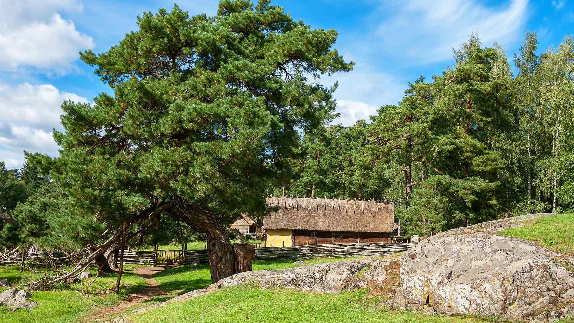sexkontakt göteborg birka stockholm sexkontakt göteborg birka stockholm