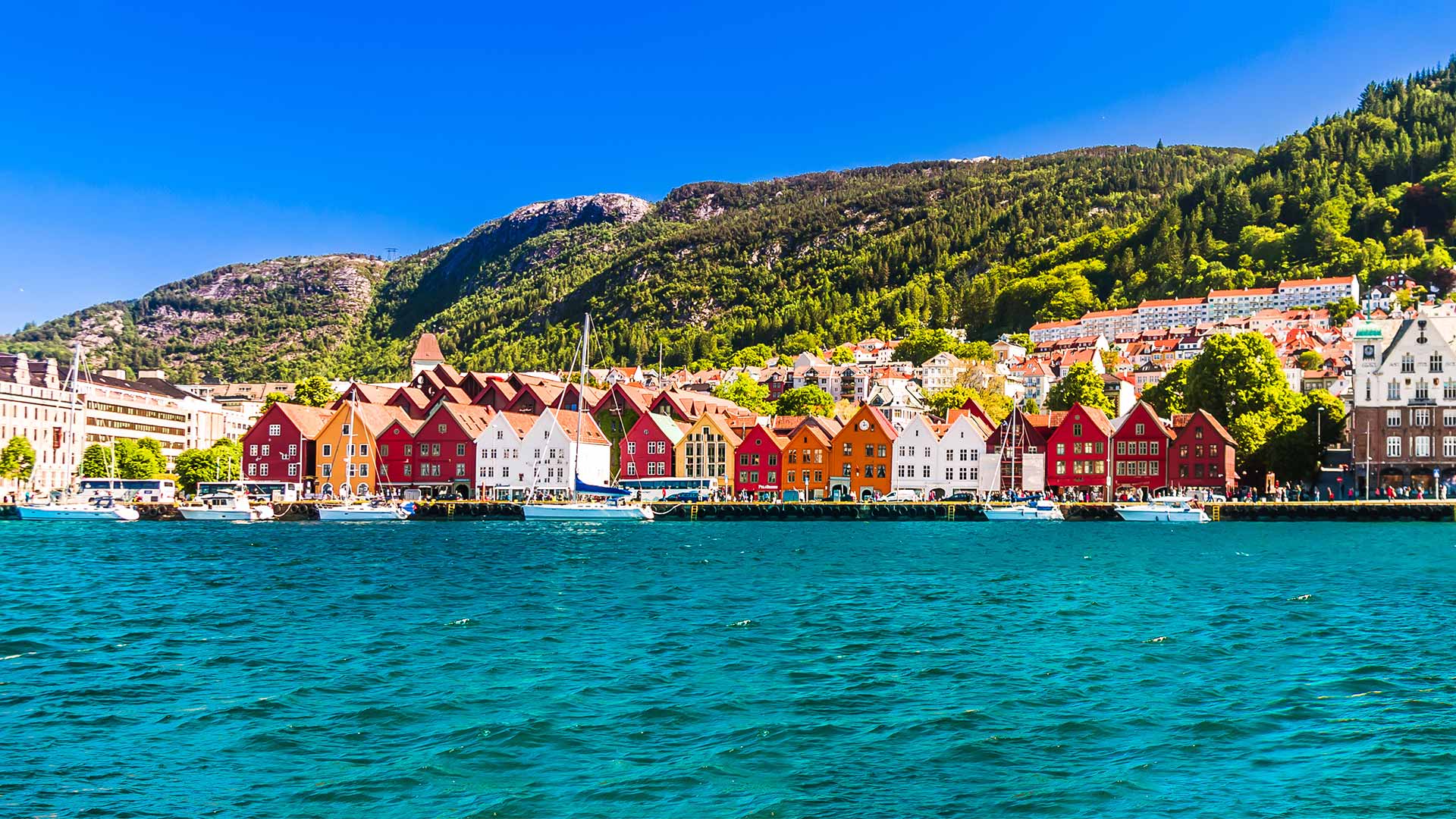 Bryggen coast in Summer