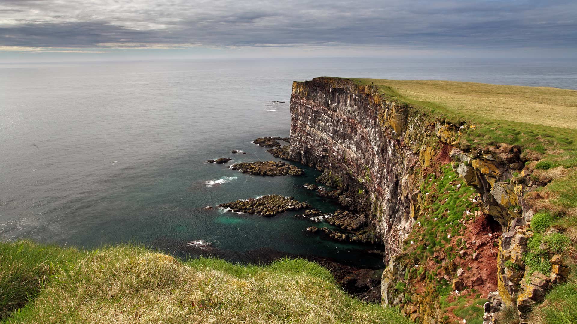 Steep sea cliffs at Látrabjarg in Iceland’s Westfjords