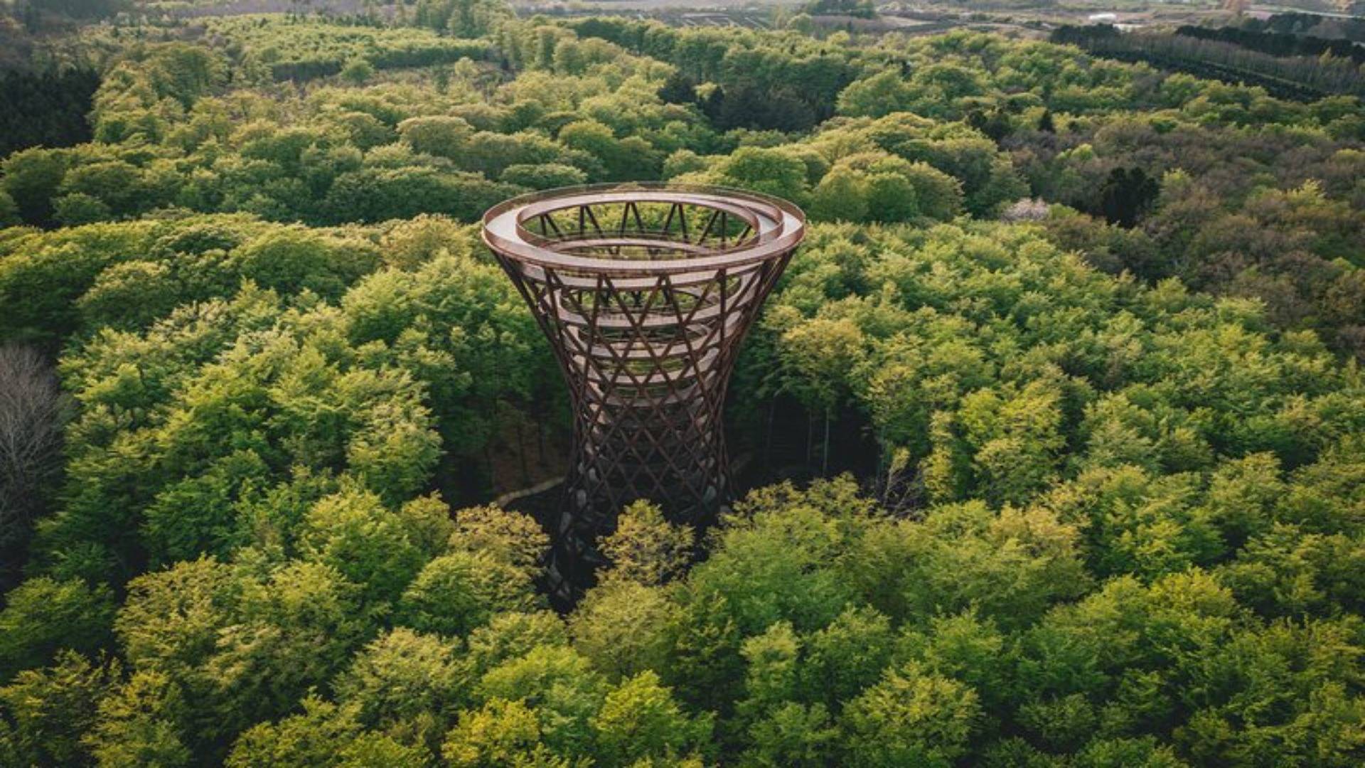 Forest Tower. Denmark