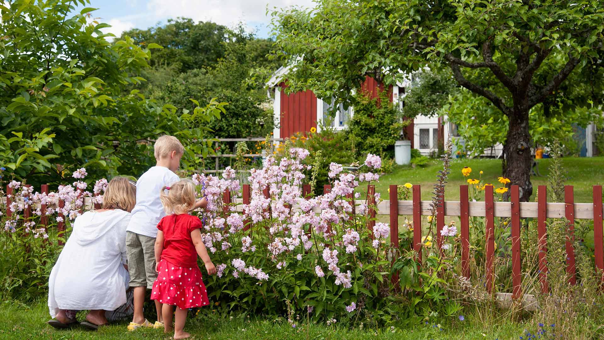 Swedish Family enjoying summer