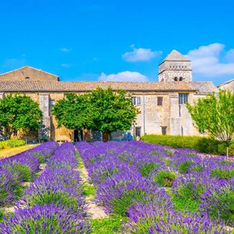 Lavender field in front of the Monastery of Saint Paul de Mausole, France