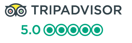 Tripadvisor logo horizontal