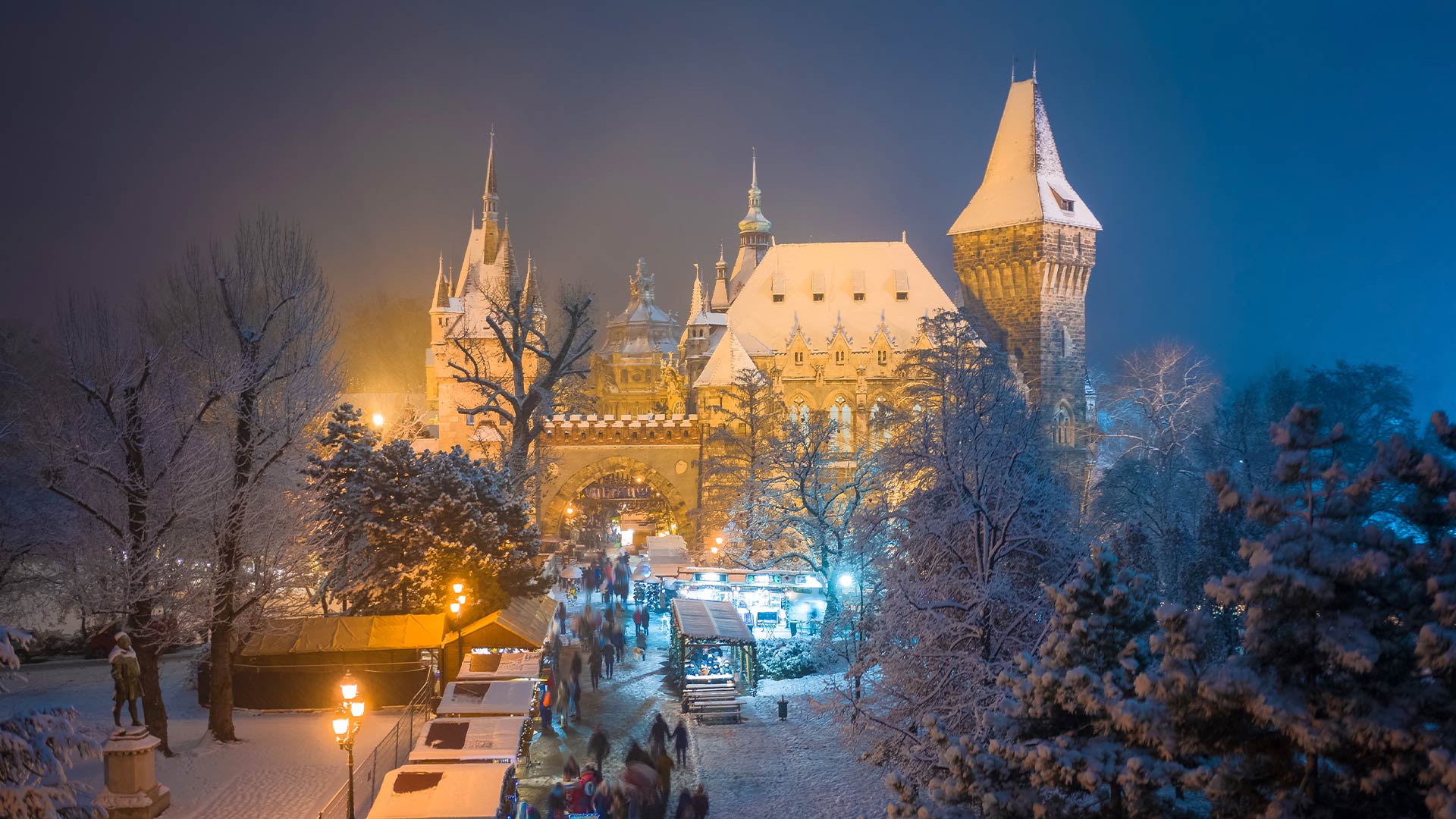 Winter Aerial Shot of Vajdahunyad Castle