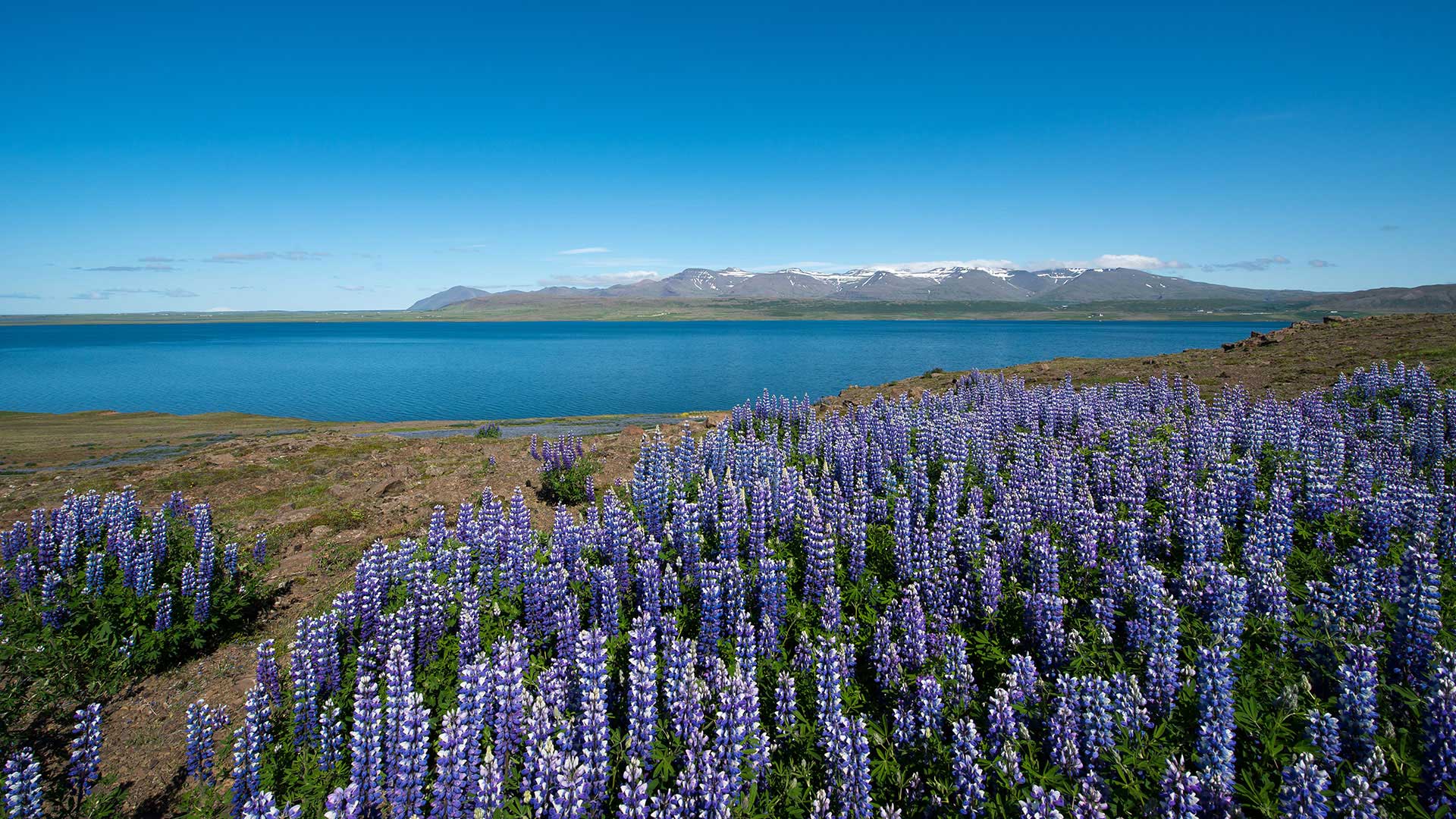 hvalfjordur iceland