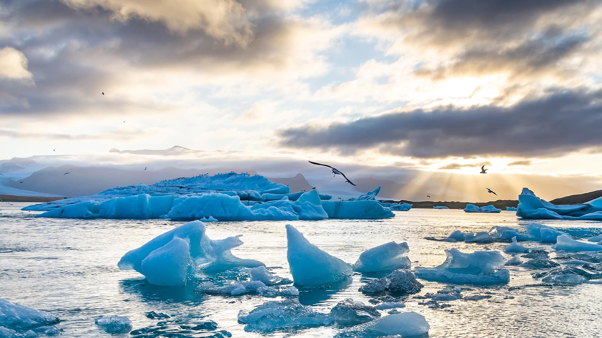 Icebergs floating in Jökulsárlón Glacier Lagoon