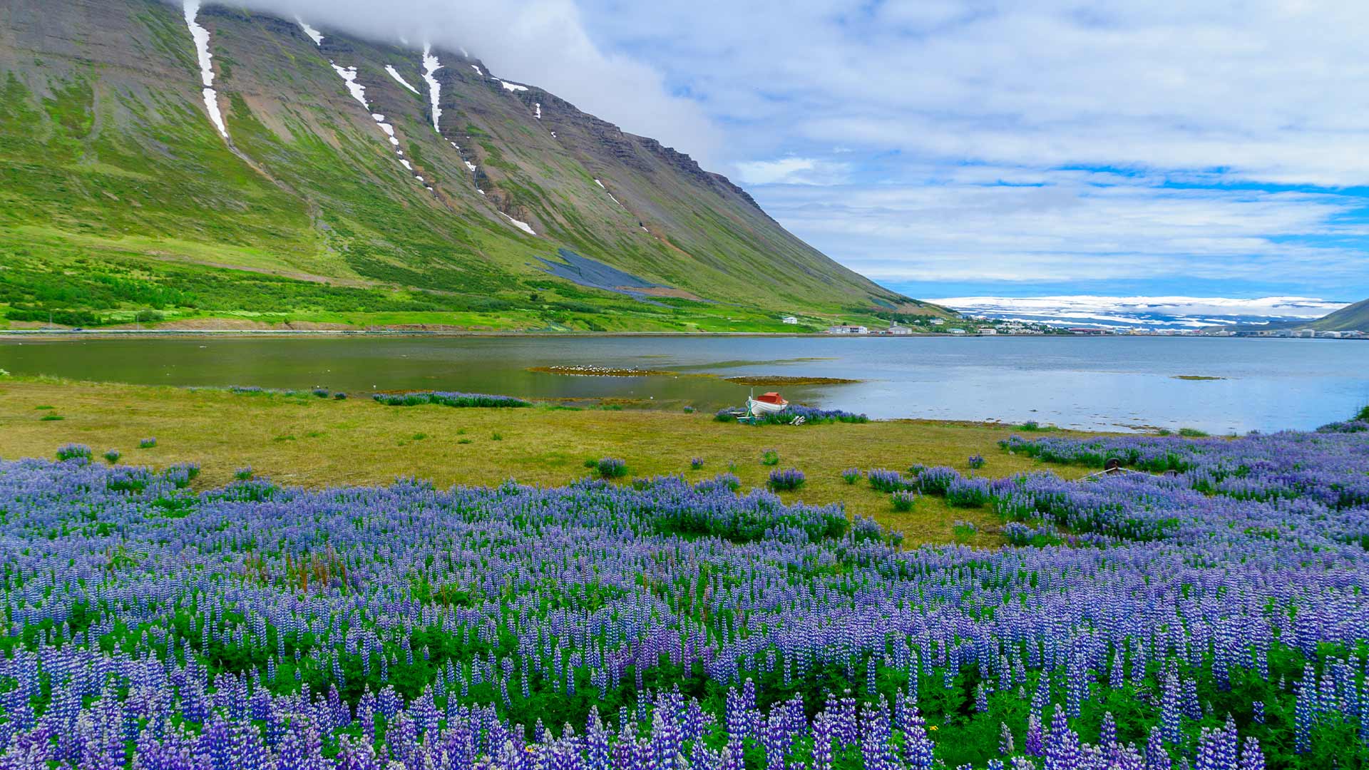 Panoramic view of Ísafjörður fjord Iceland