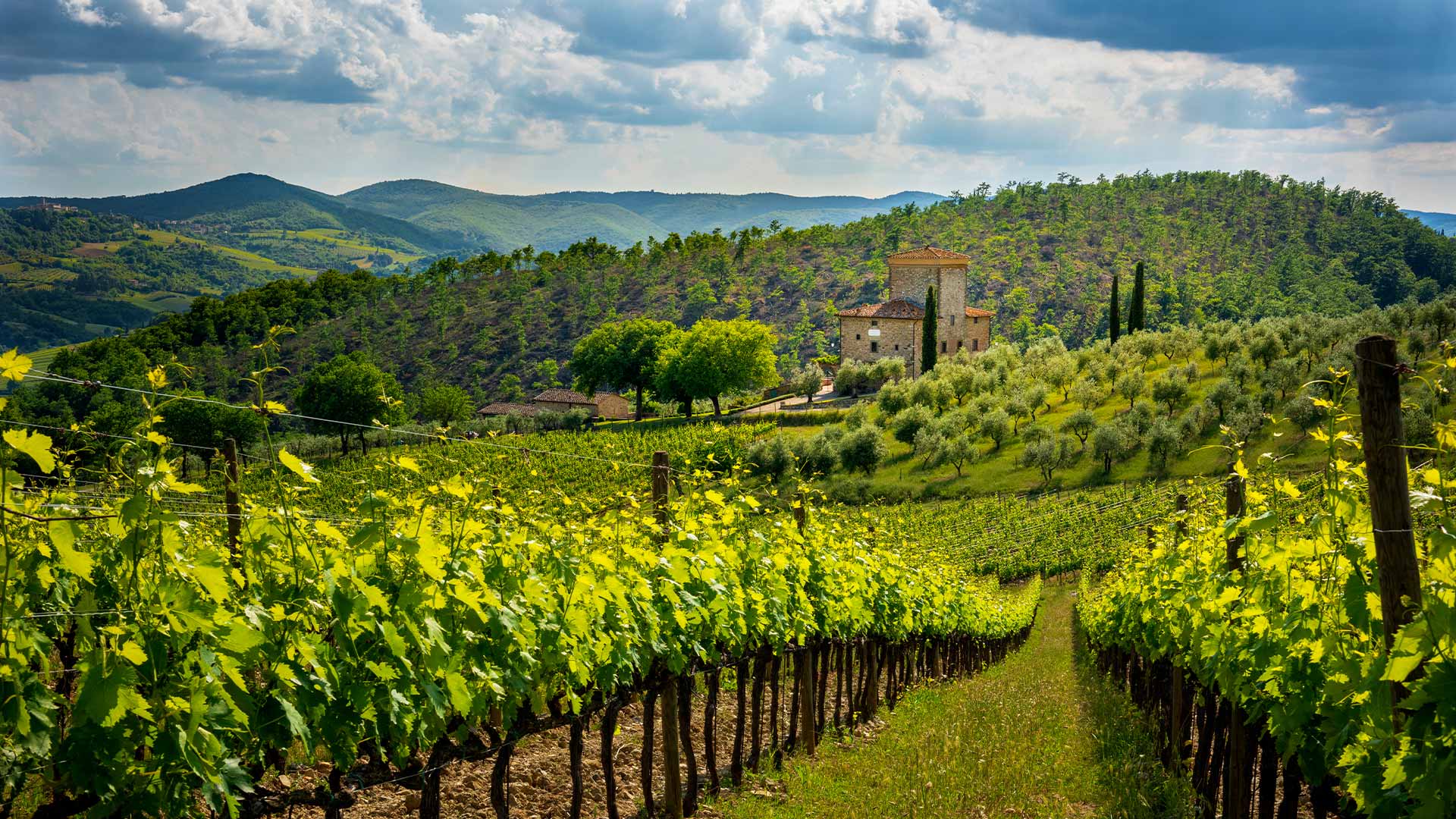 Tuscany wine estate Fattoria di Albola Chianti