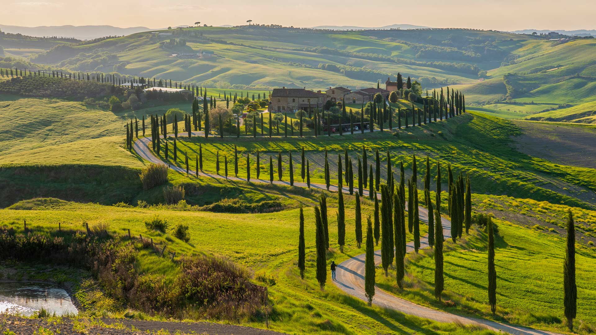 Rolling green hills and cypress trees Val d’Orcia Tuscany