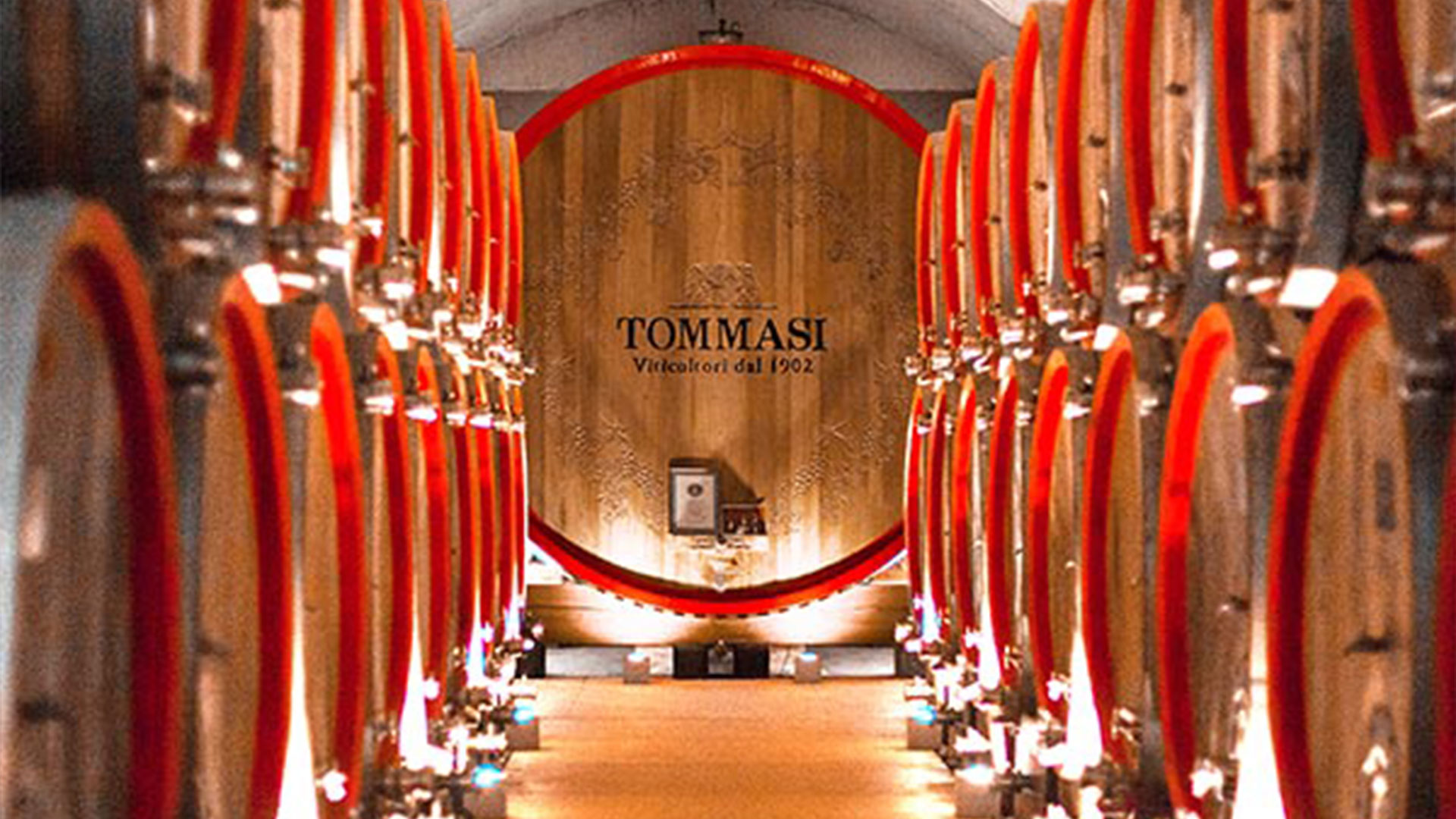 tommasi wine hospitality italy