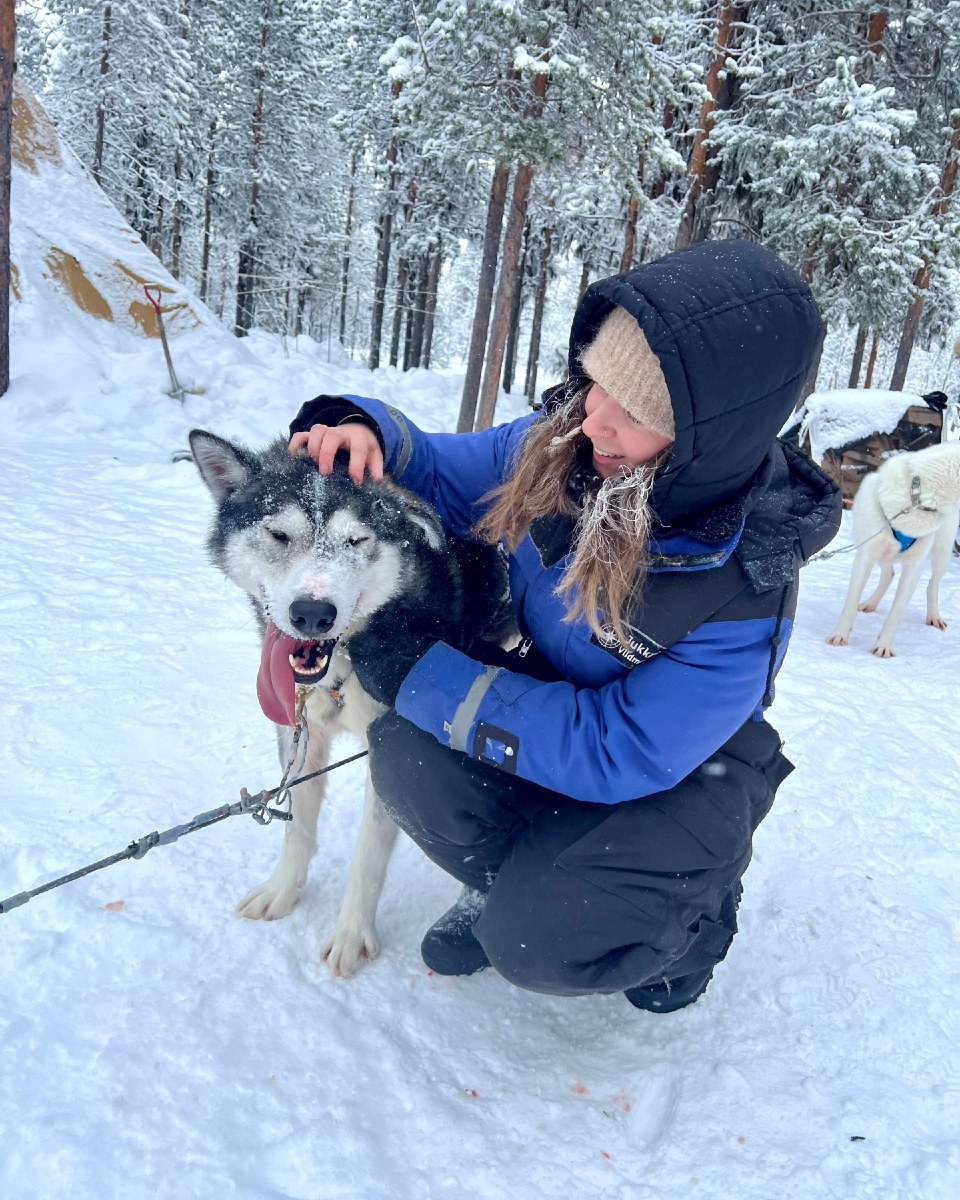 juliette egc hanging out with dog sledding huskies