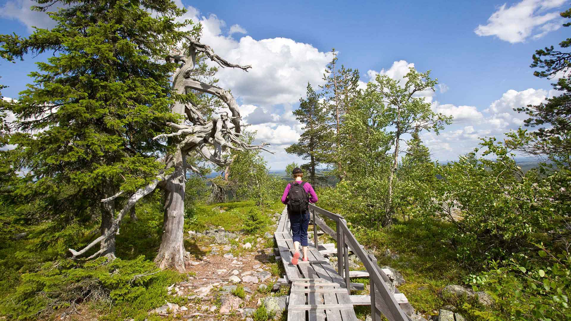 Arctic Amethyst mine in Rovaniemi - ©Visitrovaniemi.fi