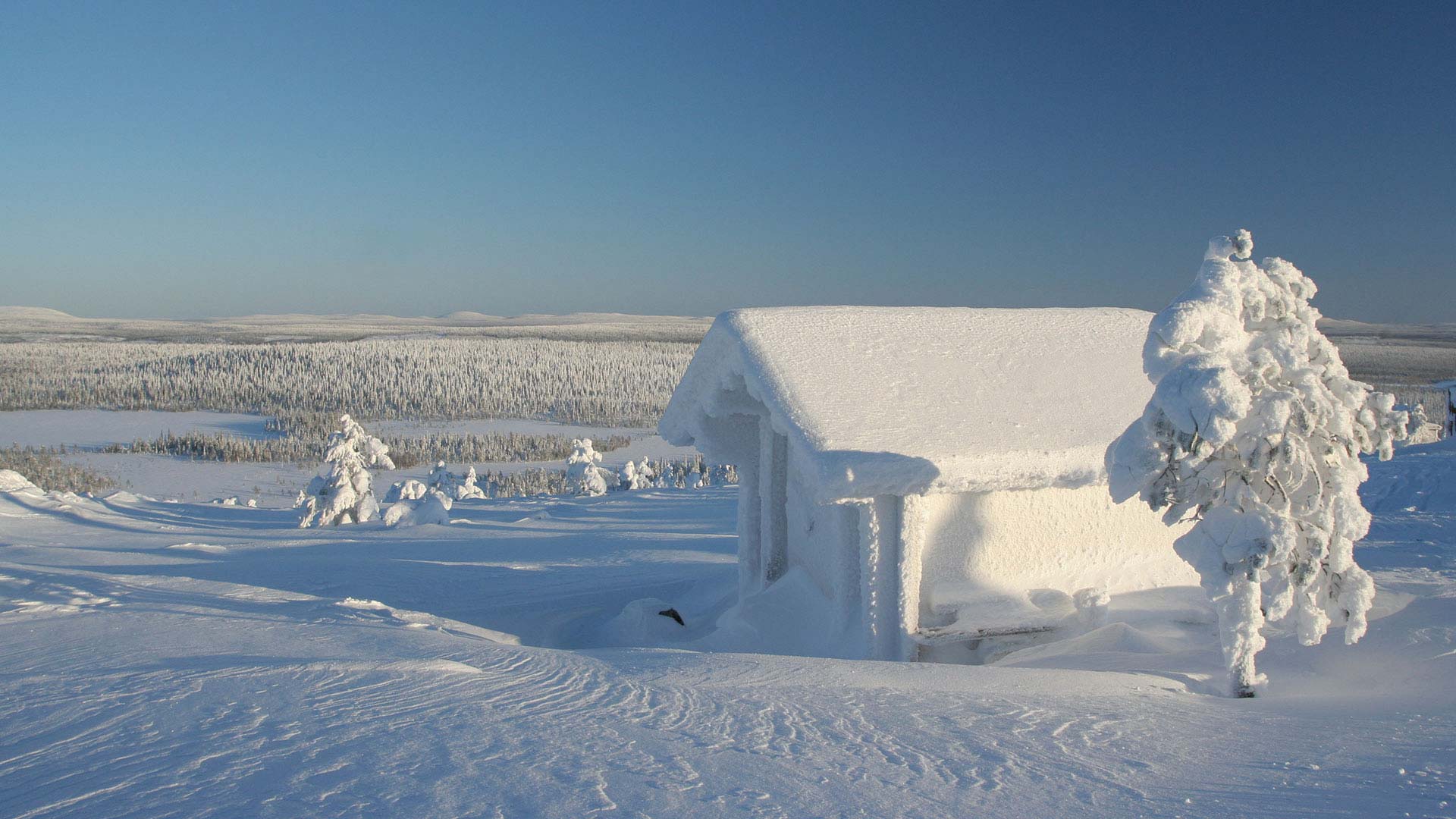 Frozen Cabin in Lapland