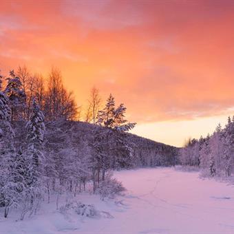 Levi in Lapland