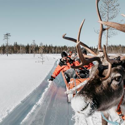 Reindeer Safari ©Lapland Hotels