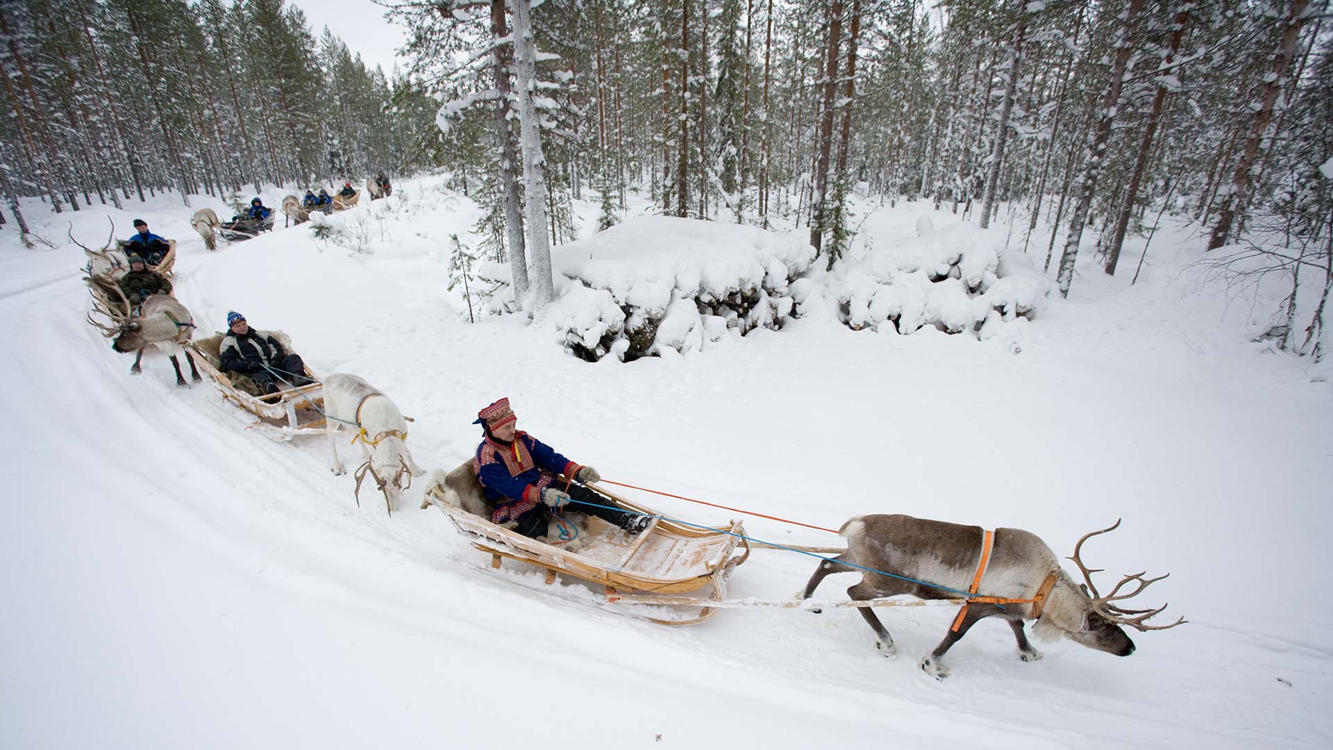 Reindeer Sleigh ride in Rovaniemi - ©Visitrovaniemi.fi