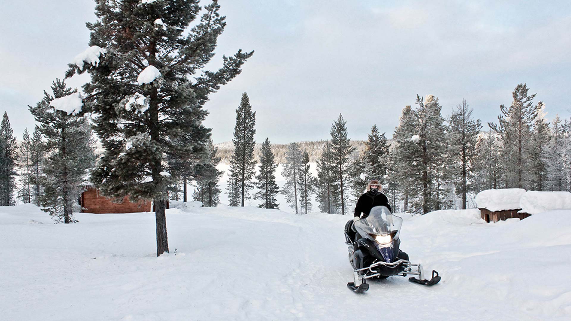 Snowmobiling in Lapland