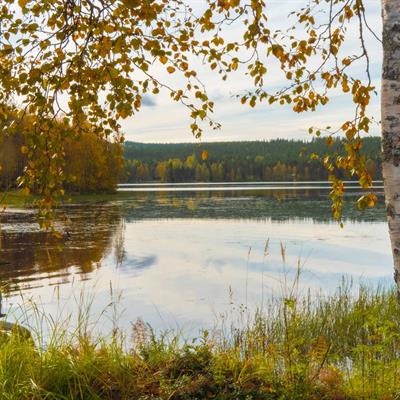 Lehtojärvi in autumn ©Arctic SnowHotel