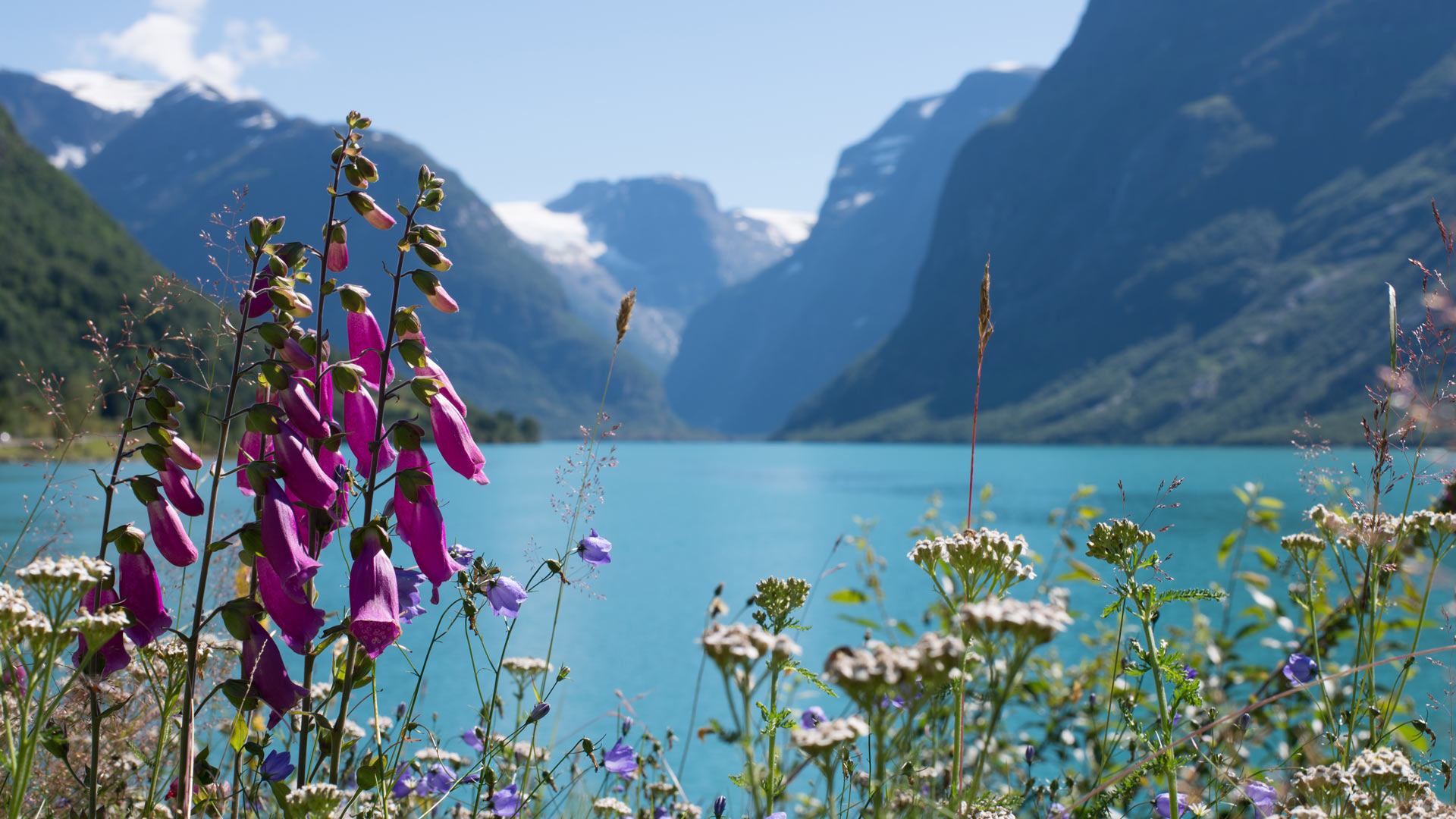 Lodalen valley, Loen village in summer, Norway