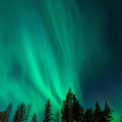 Northern Lights in Rovaniemi