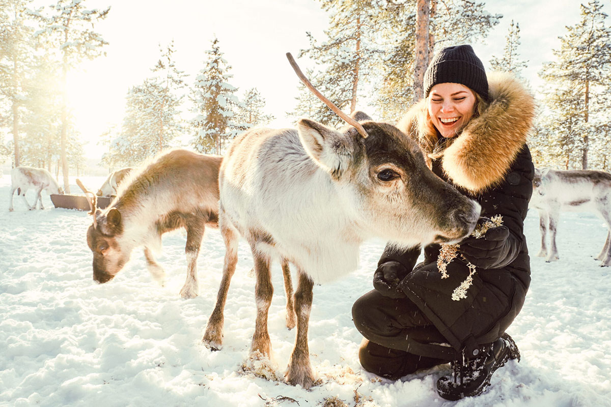 raidu reindeer encounter