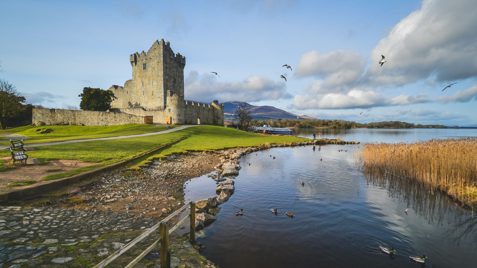 Ross Castle in Killarney National Park, Ireland