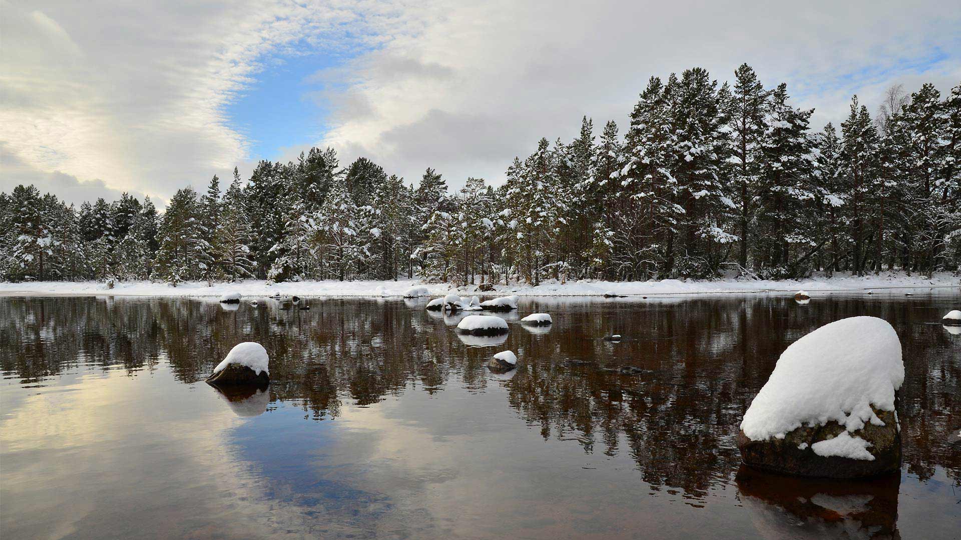 Cairngorms National Park in Scotland