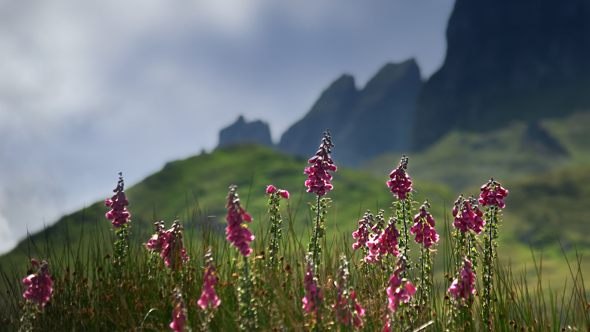 summer in isle of skye?400x200;crop