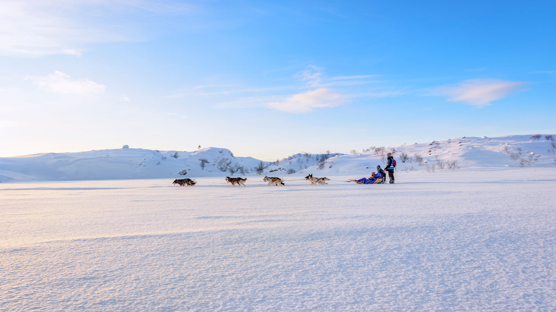 Husky safari dogsleddging in Kirkenes ©norvegian.travel