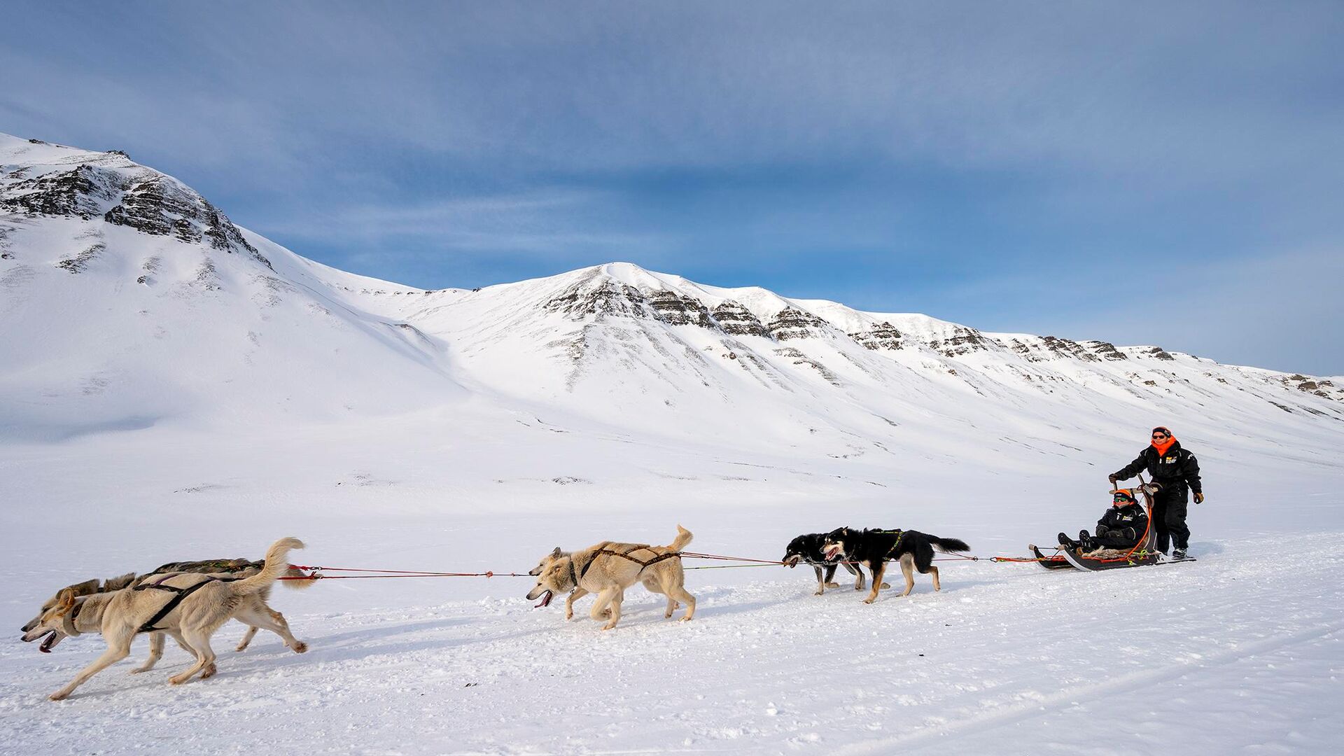 Dog sledding in Svalbard ©Basecamp Explorer