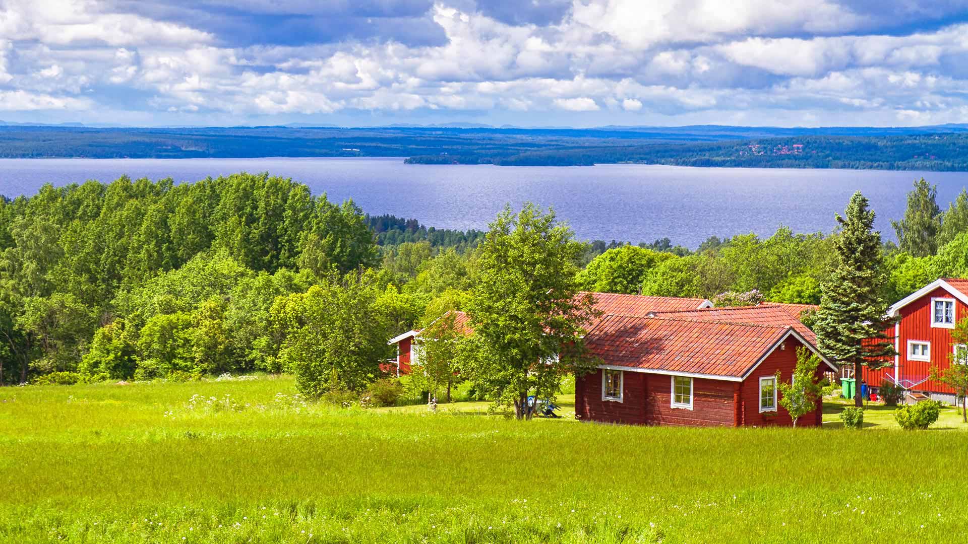 The Swedish Countryside