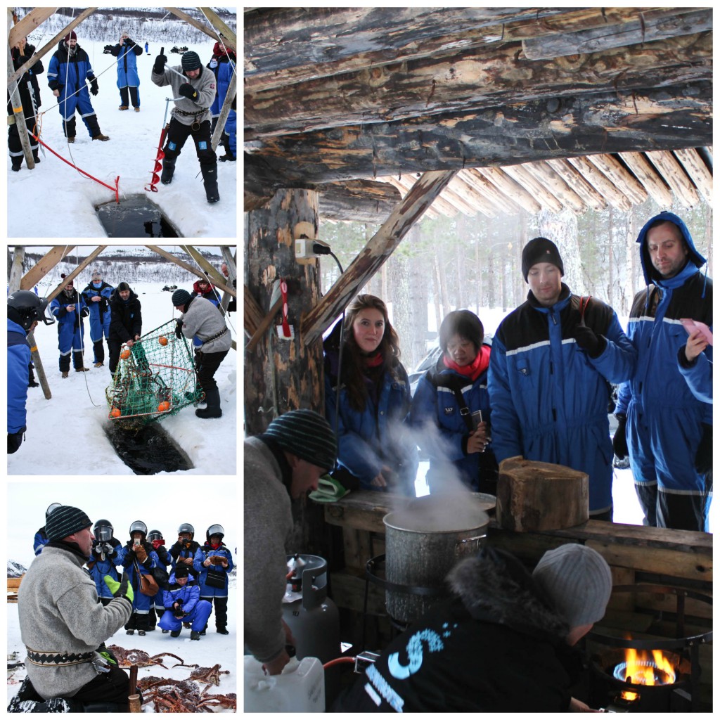 King Crab Safari - Kirkenes, Norway