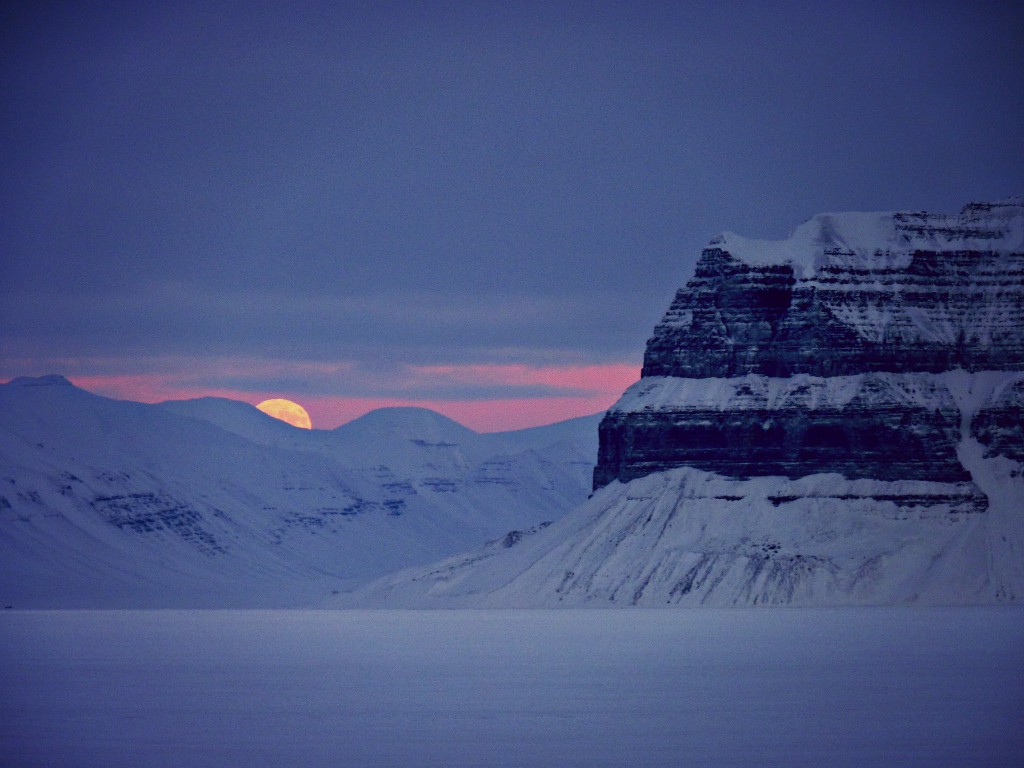 Svalbard Iceland Design