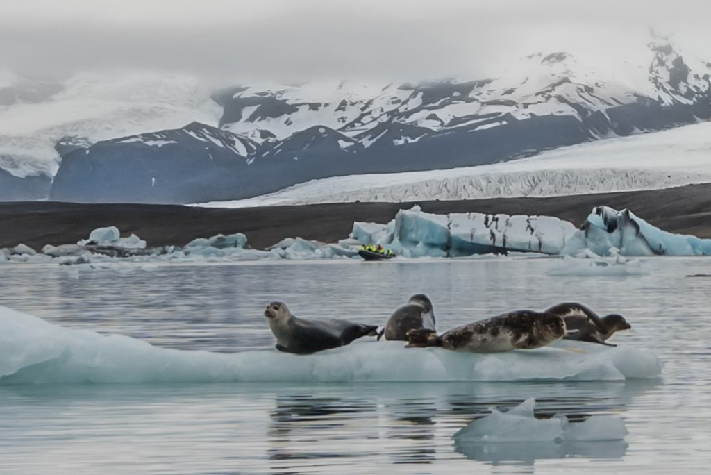 Iceland Jökulsálón Bob Quinn