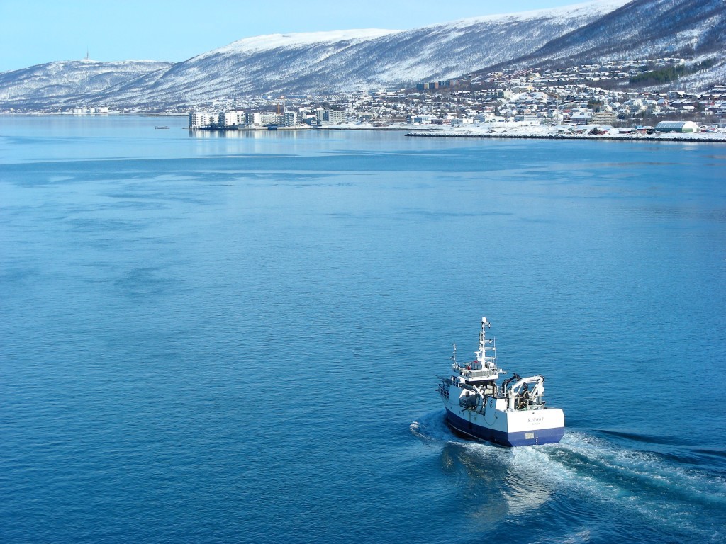 Tromso Norway - Fjord - Catharine Fulton
