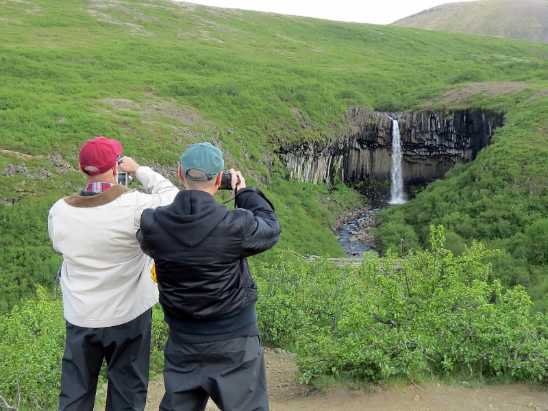 Svartifoss