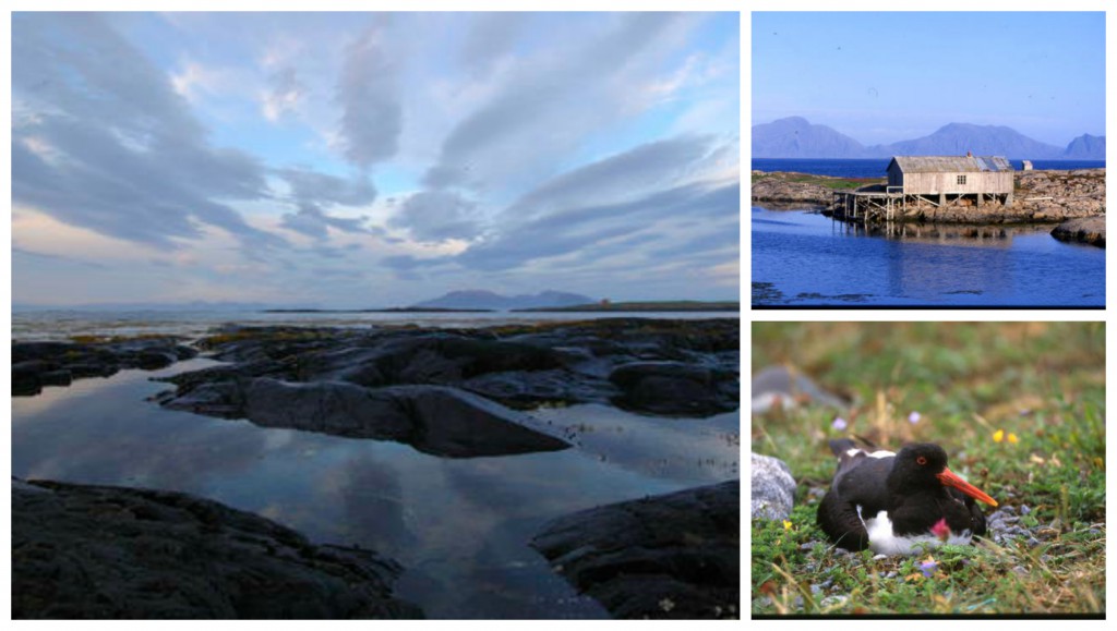 Vega Archipelago collage