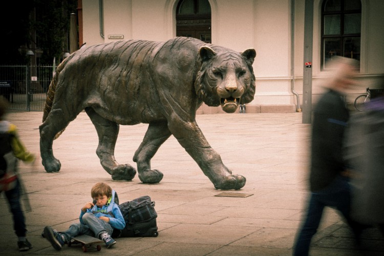 Andreas Leidenfrost-tiger with random kid-Oslo-Norway (Medium)