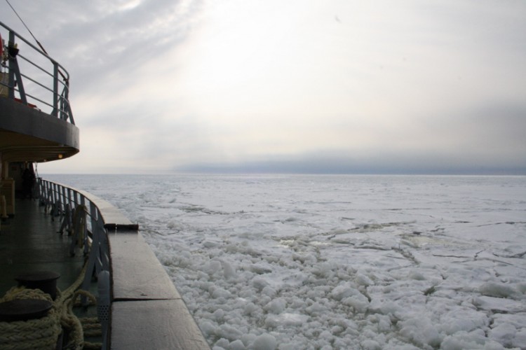 Frozen Gulf of Bothnia