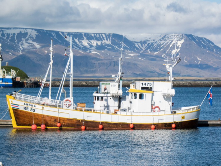 Reykjavik Harbour