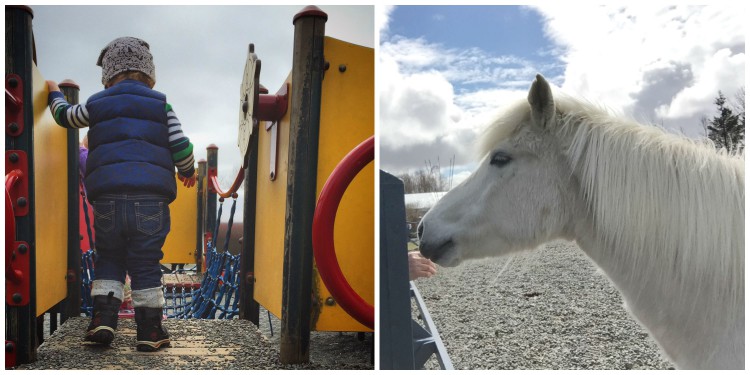 Laugardalur is home to Reykjavík's quaint zoo -- featuring Icelandic farm animals and a few seals and foxes -- and some great play structures for little ones to explore.
