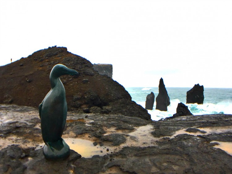 A statue of the Great Auk stands on the cliffs at Reykjanestá, the location where the last mating pair was killed by a German anthropologist in 1844.