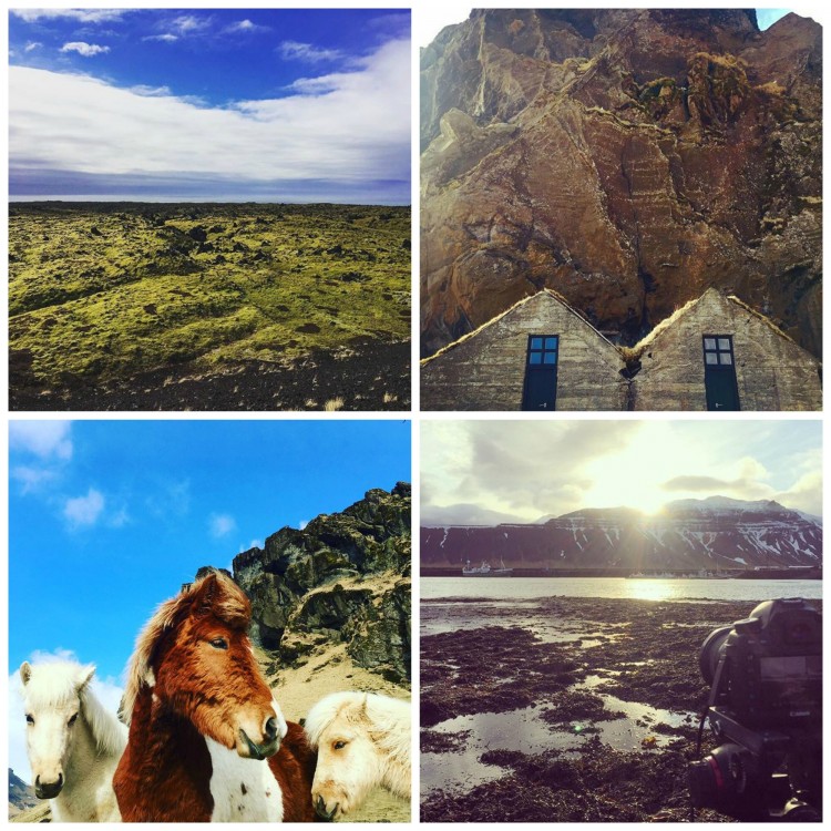 the929 Collage