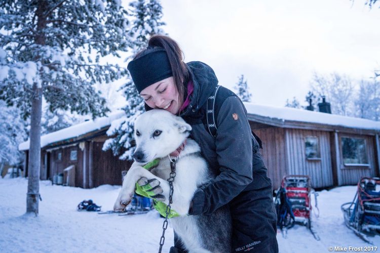 Dog sledding guide with husky