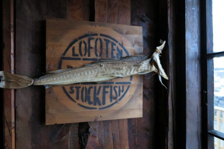 Stockfish in Lofoten, Norway