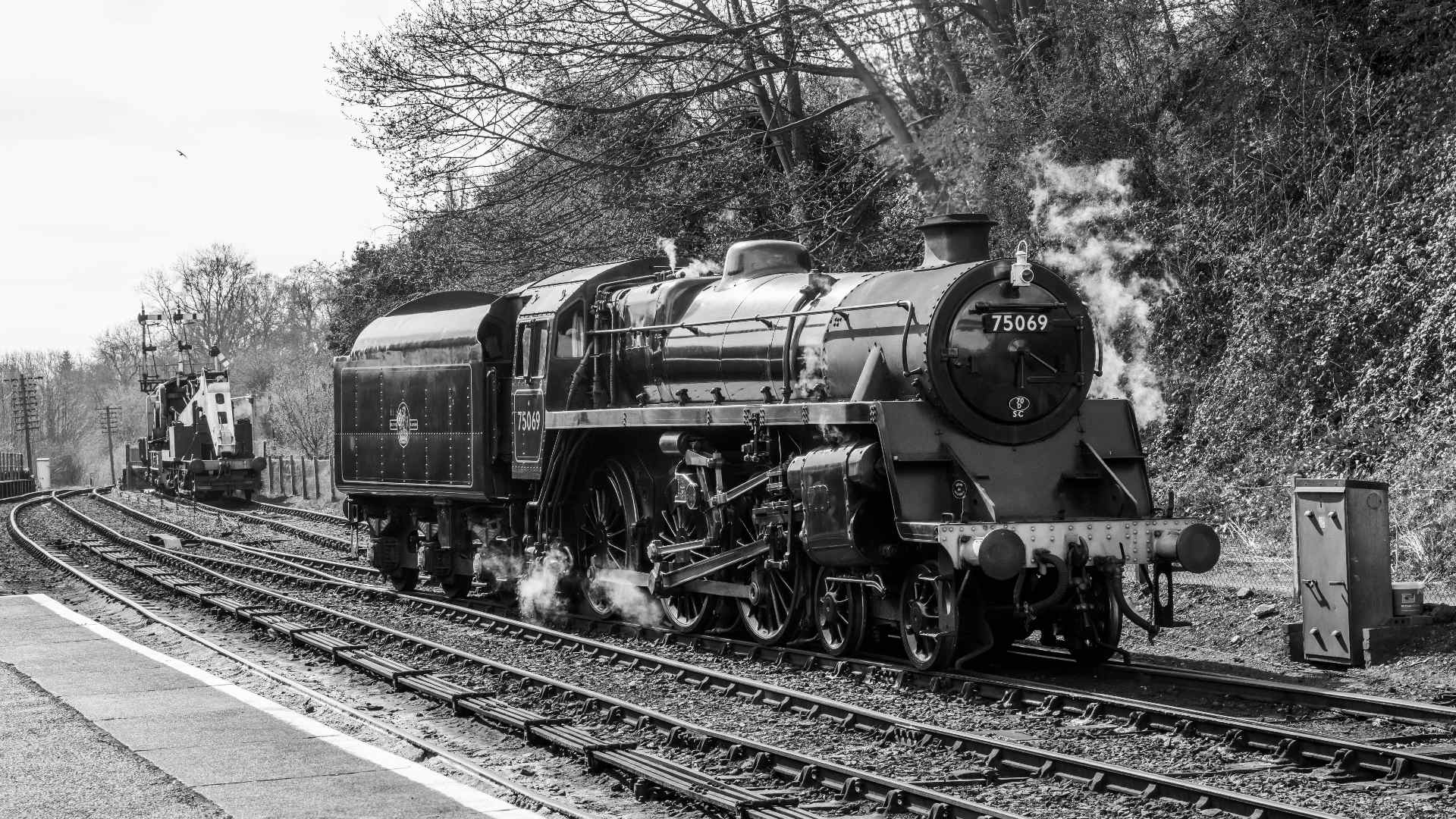 Black-and-white photo of a steam train