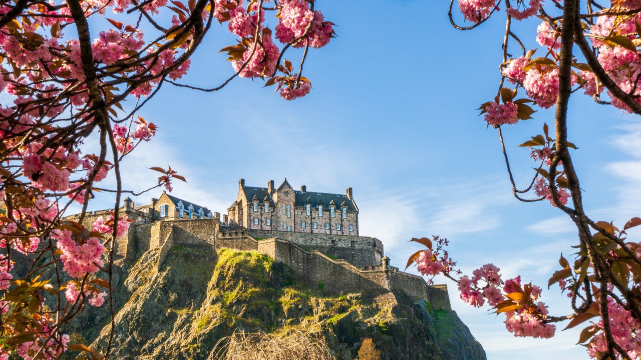 Edinburgh Castle framed by cherry blossom trees