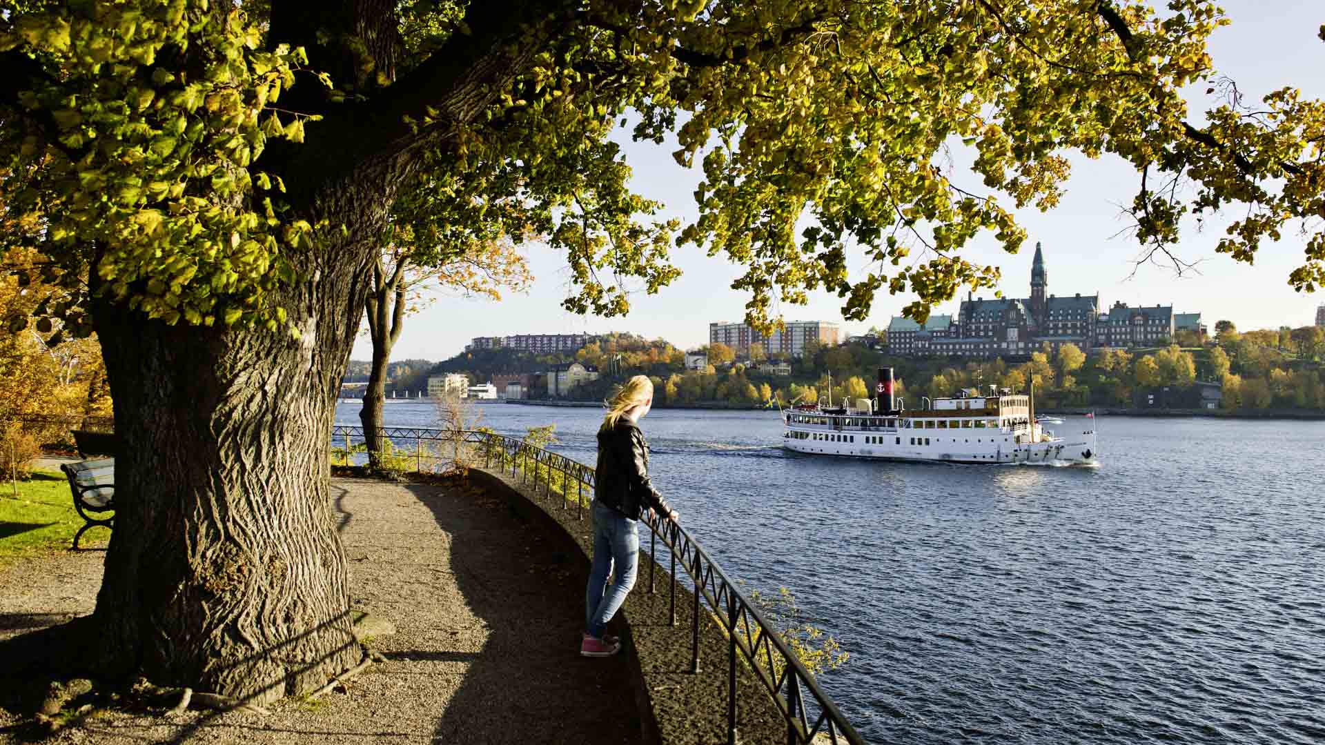 Fall in Djurgarden, Stockholm