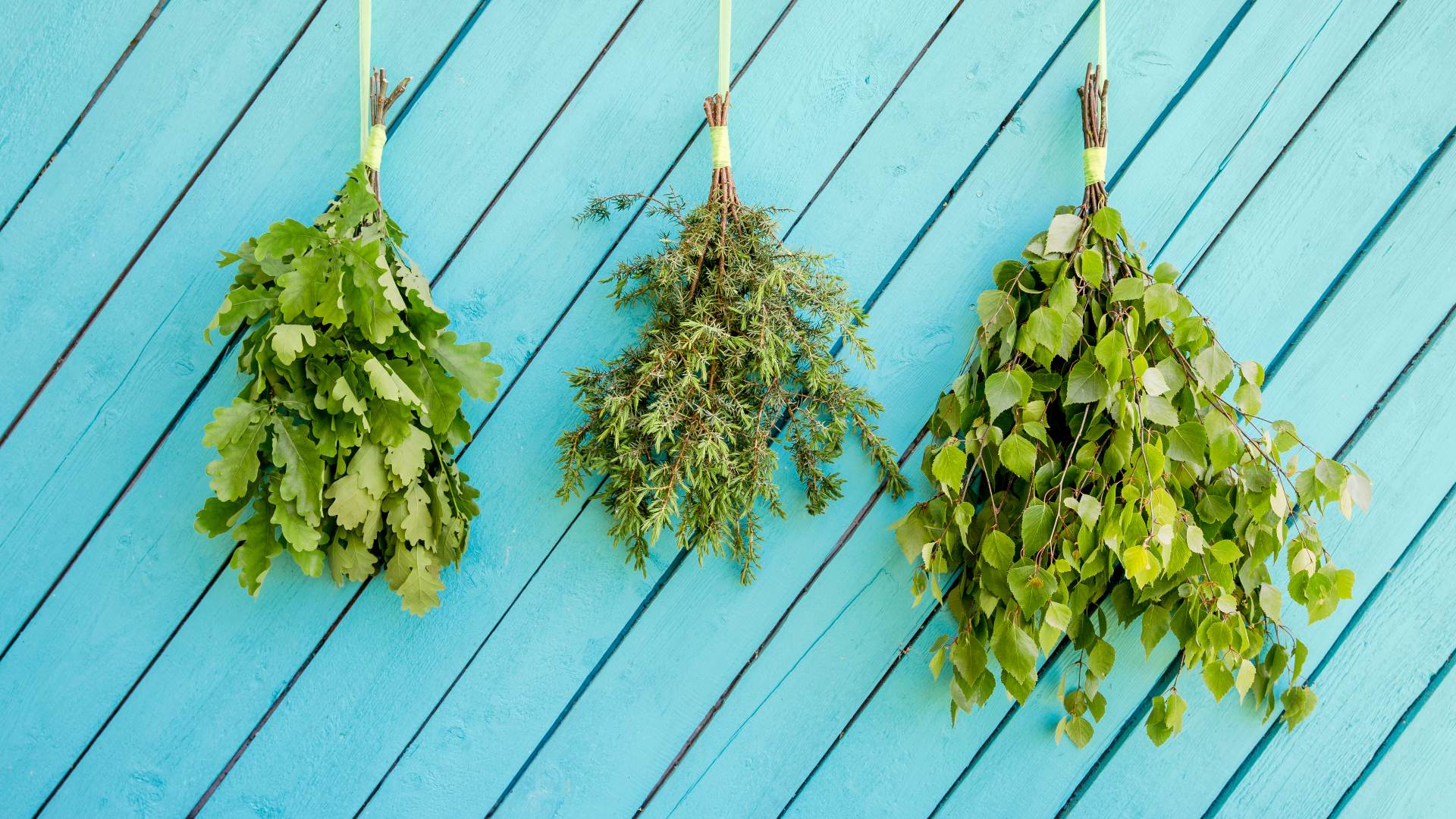 Branches bundled together – a sauna whisk