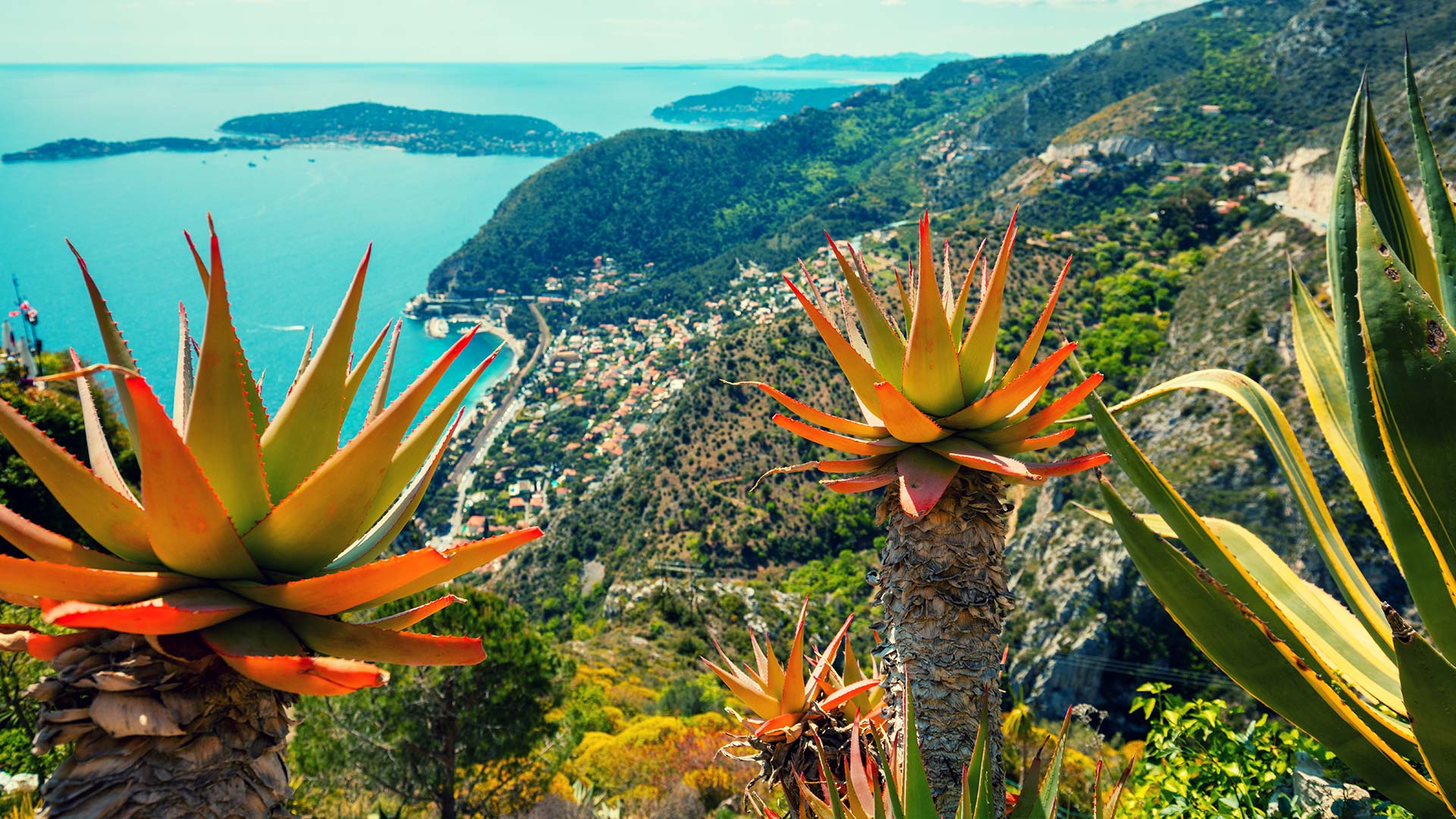 Panoramic view of a coastline in the South of France, with aloe plants in the foreground?400x200;crop